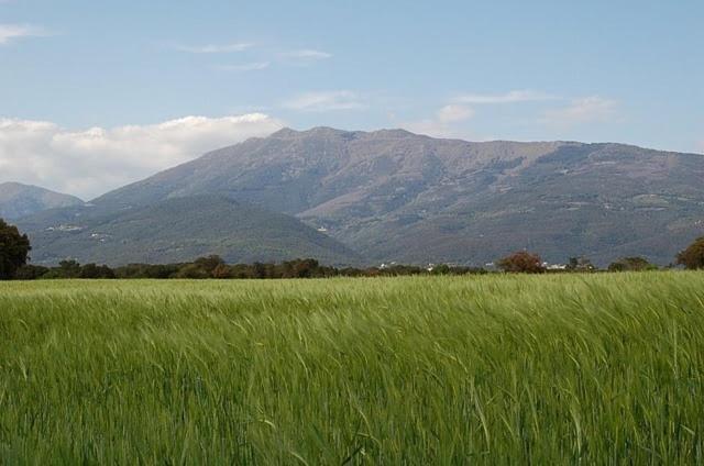 Turo De L'Home Santa María de Palautordera 외부 사진